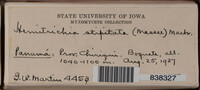 Image Associated With the Occurence